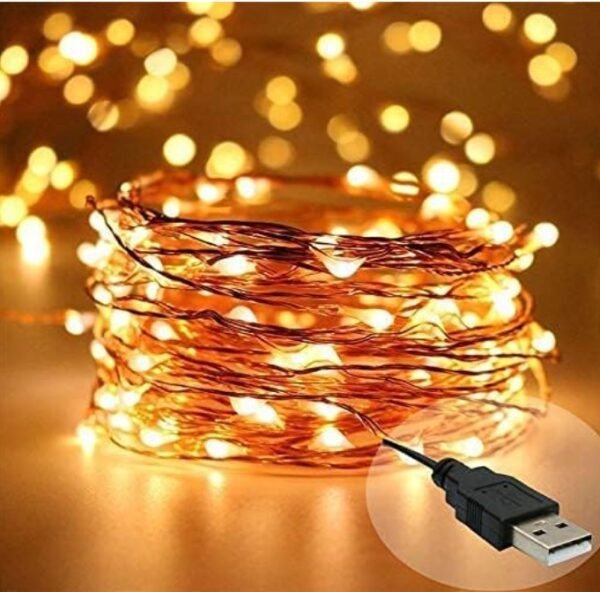 Desidiya Copper Fairy String LED Lights With Usb Cable For Home Decoration (10 Meters)